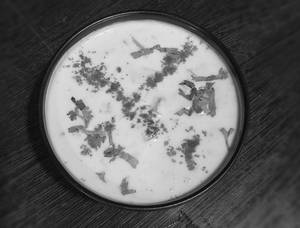 Veg Raita