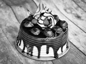 Blueberry Cake