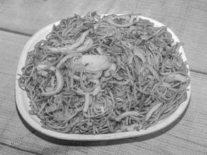 Veg Chowmein