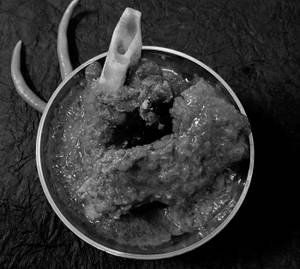 Mutton Kosha