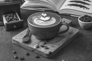 Mocha ( 2 Cups)