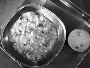 Pongal