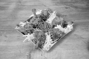 Chicken Lolipop