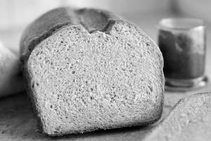 Wheat Bread