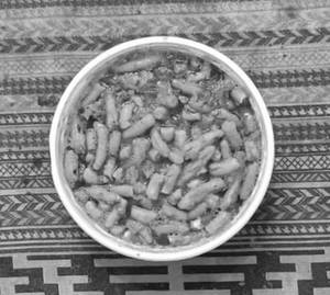 Sev Tamatar    