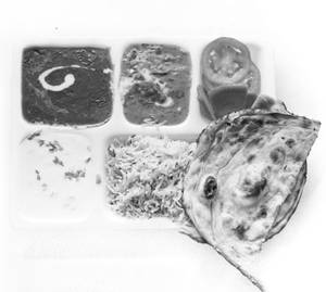 Combo     Thali