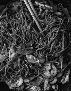 Yakisoba Jap Hakka Noodles Veg / Non Veg 