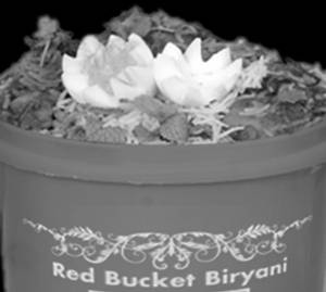 Chicken Dum Biryani [3 Person]