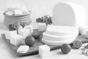 Plain Paneer