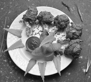 Chicken Lollypop