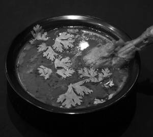 Chicken Malwani Half