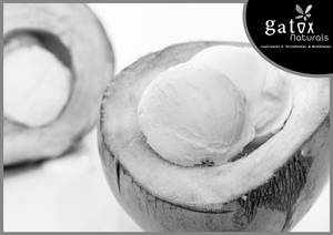 Tender Coconut Ice Cream[Mini Pack]