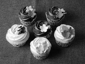 Assorted Flavours (Set of 6)