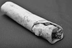 Veg Chaap Roll