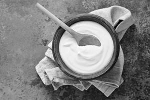 Plain Curd