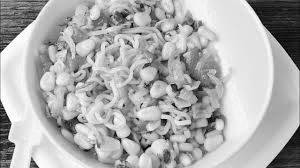 Sweet corn capsium maggie