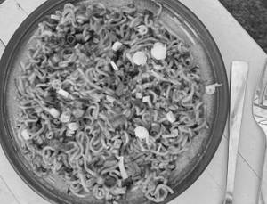 Paneer Noodles