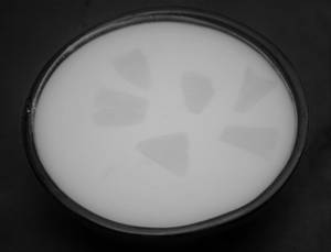 Pineapple Raita