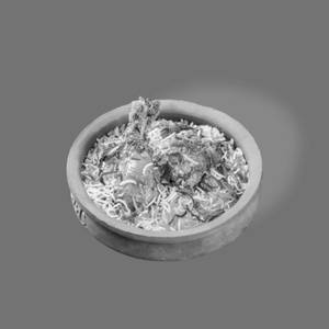 Kaveri Special Chicken Biryani