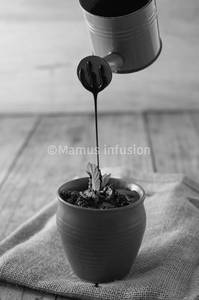 Chocolate Mud Pie