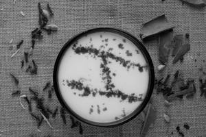 Plain Raita