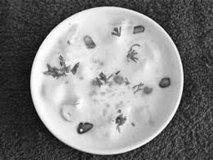 Fruit Raita