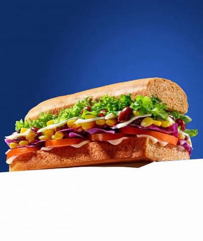 Order Food Online from Subbro in Patparganj, Delhi | Swiggy